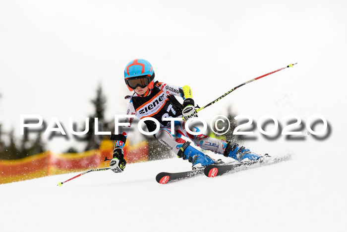 7.  Zienercup + Werdenfelser Meisterschaft 23.02.2020