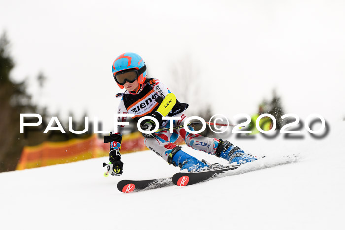 7.  Zienercup + Werdenfelser Meisterschaft 23.02.2020