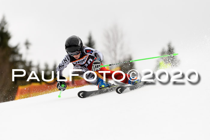 7.  Zienercup + Werdenfelser Meisterschaft 23.02.2020