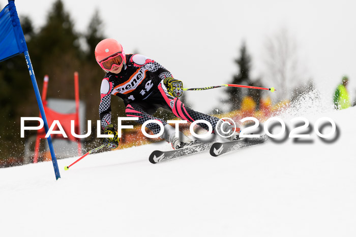 7.  Zienercup + Werdenfelser Meisterschaft 23.02.2020