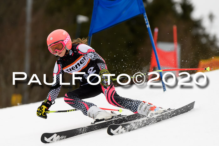 7.  Zienercup + Werdenfelser Meisterschaft 23.02.2020