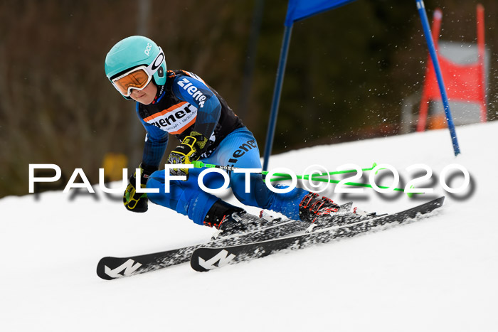 7.  Zienercup + Werdenfelser Meisterschaft 23.02.2020