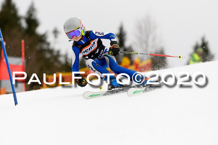 7.  Zienercup + Werdenfelser Meisterschaft 23.02.2020