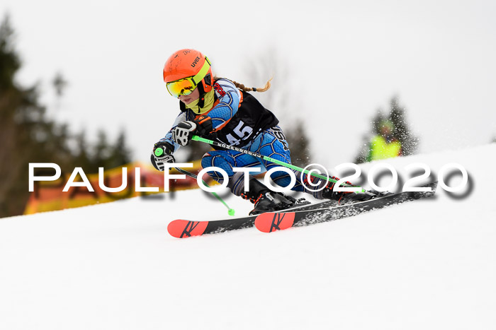 7.  Zienercup + Werdenfelser Meisterschaft 23.02.2020