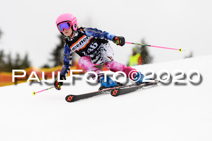 7.  Zienercup + Werdenfelser Meisterschaft 23.02.2020