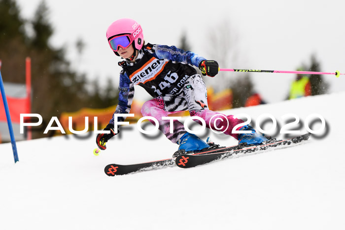 7.  Zienercup + Werdenfelser Meisterschaft 23.02.2020