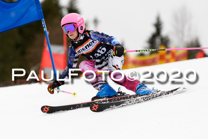 7.  Zienercup + Werdenfelser Meisterschaft 23.02.2020