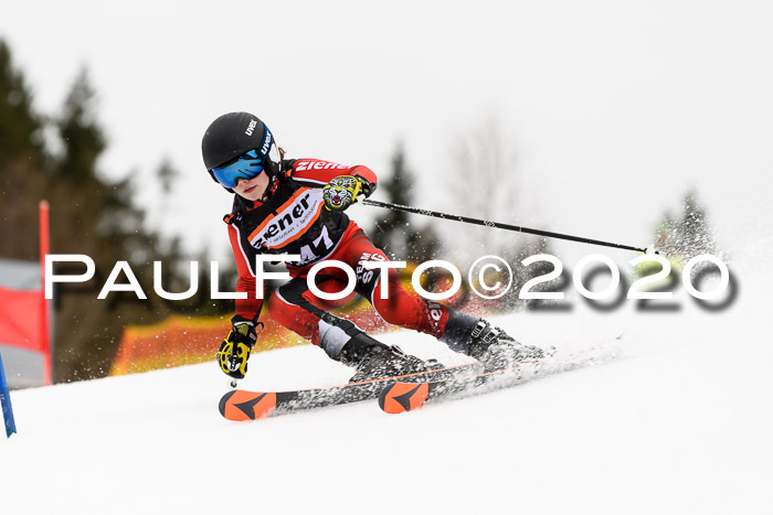 7.  Zienercup + Werdenfelser Meisterschaft 23.02.2020