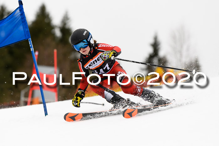 7.  Zienercup + Werdenfelser Meisterschaft 23.02.2020
