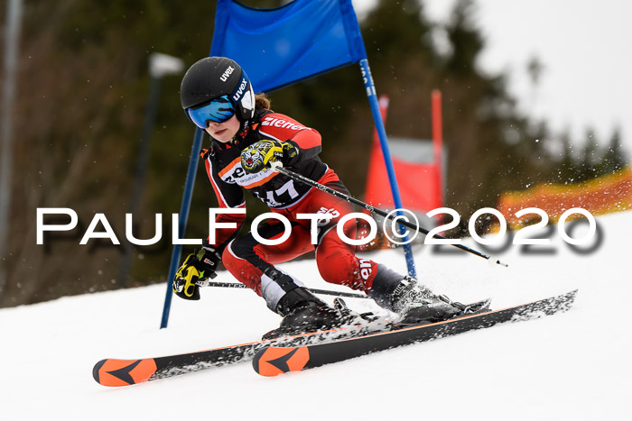 7.  Zienercup + Werdenfelser Meisterschaft 23.02.2020