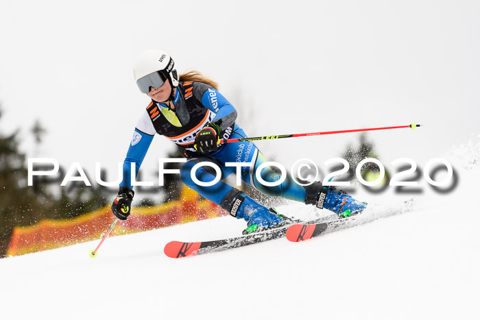 7.  Zienercup + Werdenfelser Meisterschaft 23.02.2020