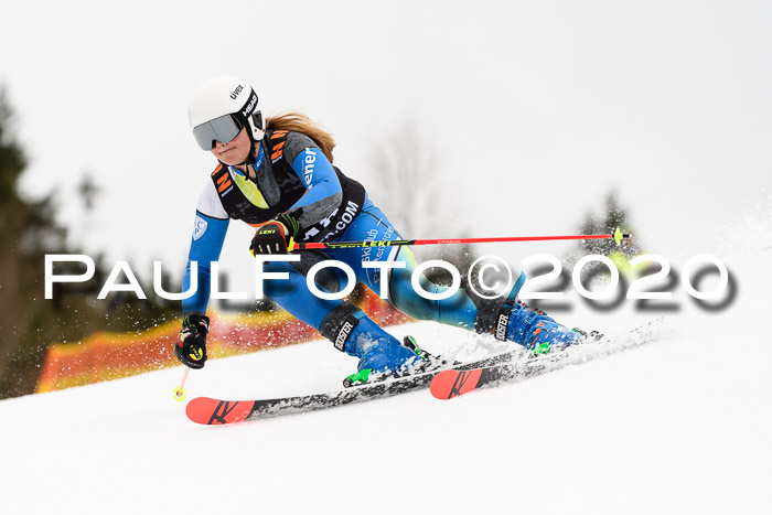 7.  Zienercup + Werdenfelser Meisterschaft 23.02.2020