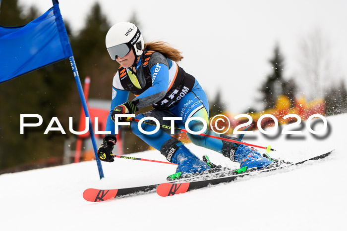 7.  Zienercup + Werdenfelser Meisterschaft 23.02.2020