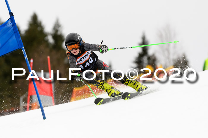 7.  Zienercup + Werdenfelser Meisterschaft 23.02.2020
