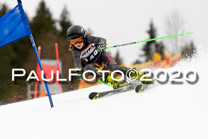 7.  Zienercup + Werdenfelser Meisterschaft 23.02.2020