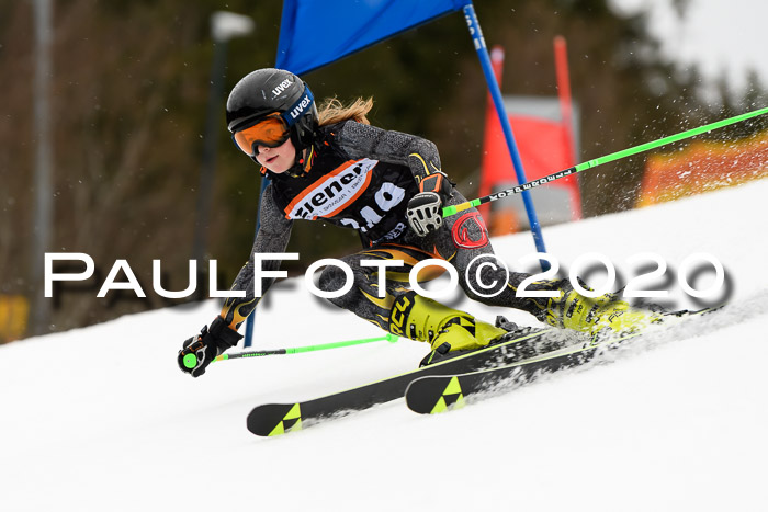 7.  Zienercup + Werdenfelser Meisterschaft 23.02.2020