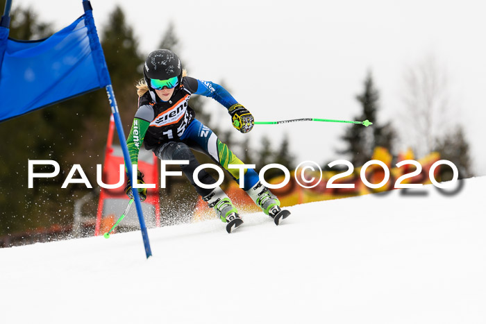 7.  Zienercup + Werdenfelser Meisterschaft 23.02.2020