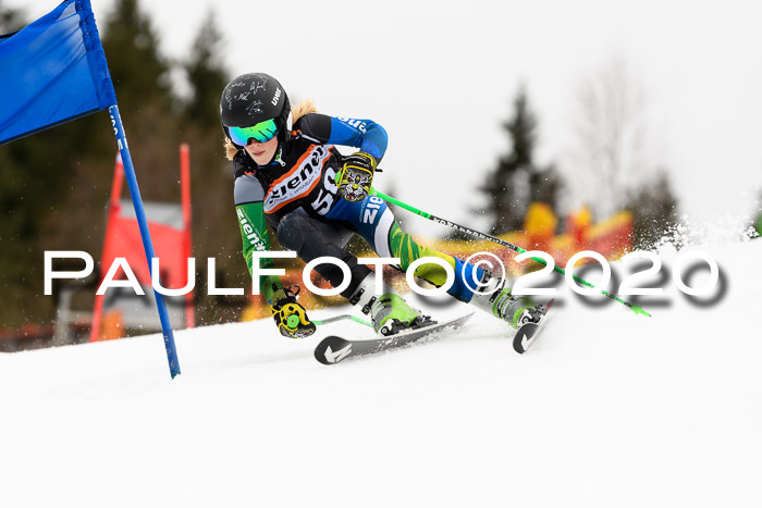 7.  Zienercup + Werdenfelser Meisterschaft 23.02.2020
