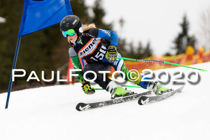 7.  Zienercup + Werdenfelser Meisterschaft 23.02.2020