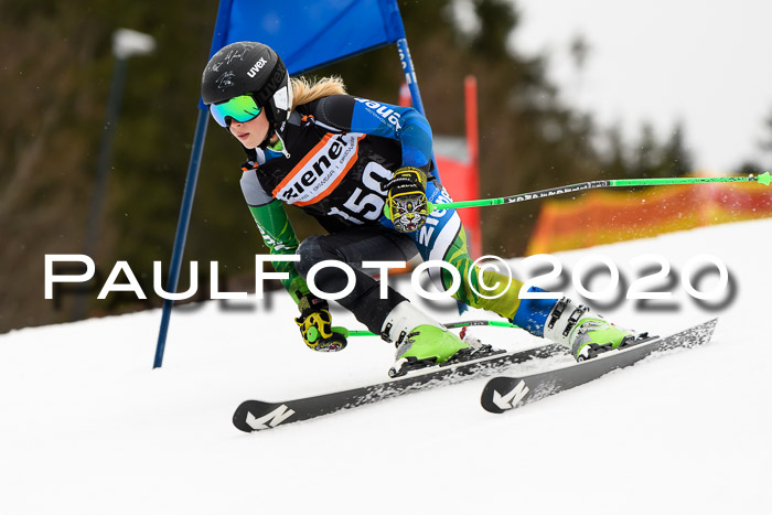 7.  Zienercup + Werdenfelser Meisterschaft 23.02.2020
