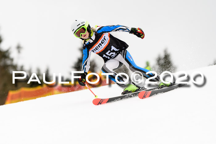 7.  Zienercup + Werdenfelser Meisterschaft 23.02.2020