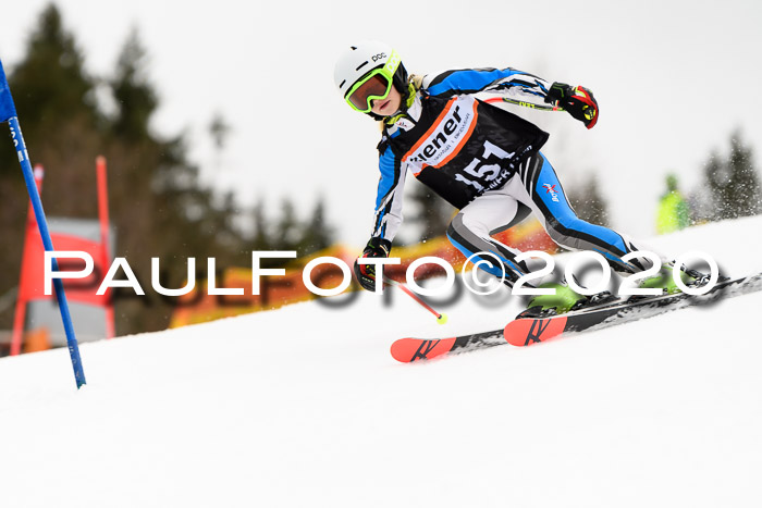 7.  Zienercup + Werdenfelser Meisterschaft 23.02.2020
