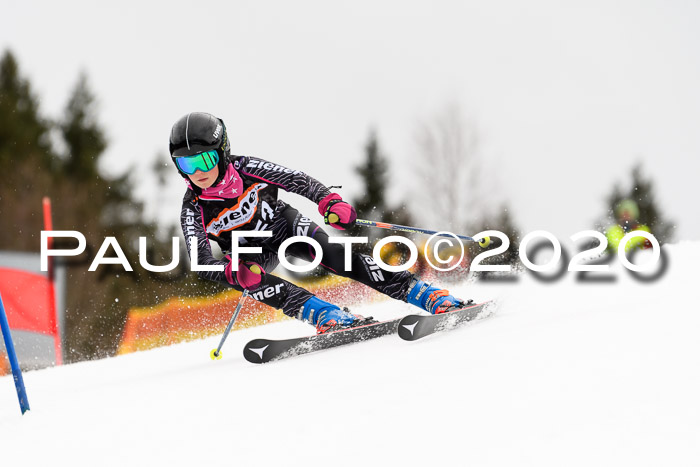 7.  Zienercup + Werdenfelser Meisterschaft 23.02.2020