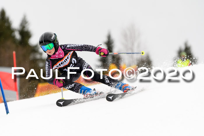 7.  Zienercup + Werdenfelser Meisterschaft 23.02.2020