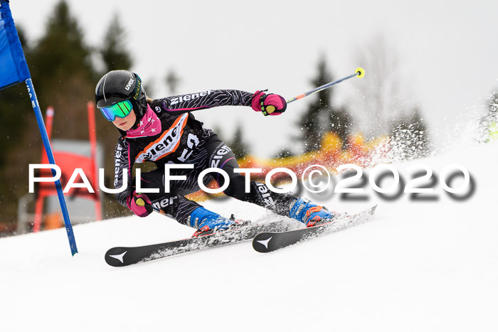 7.  Zienercup + Werdenfelser Meisterschaft 23.02.2020