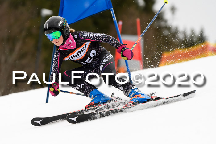 7.  Zienercup + Werdenfelser Meisterschaft 23.02.2020