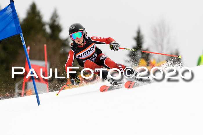 7.  Zienercup + Werdenfelser Meisterschaft 23.02.2020