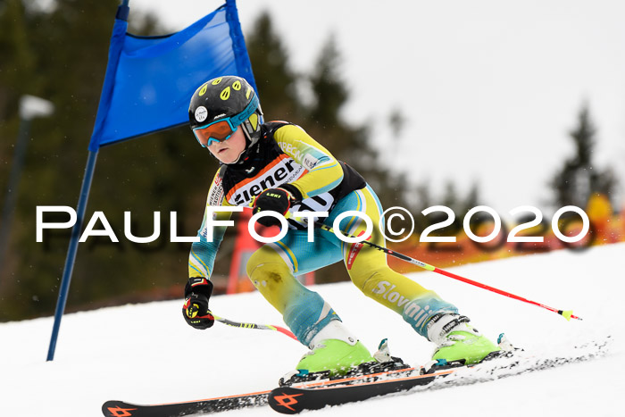 7.  Zienercup + Werdenfelser Meisterschaft 23.02.2020
