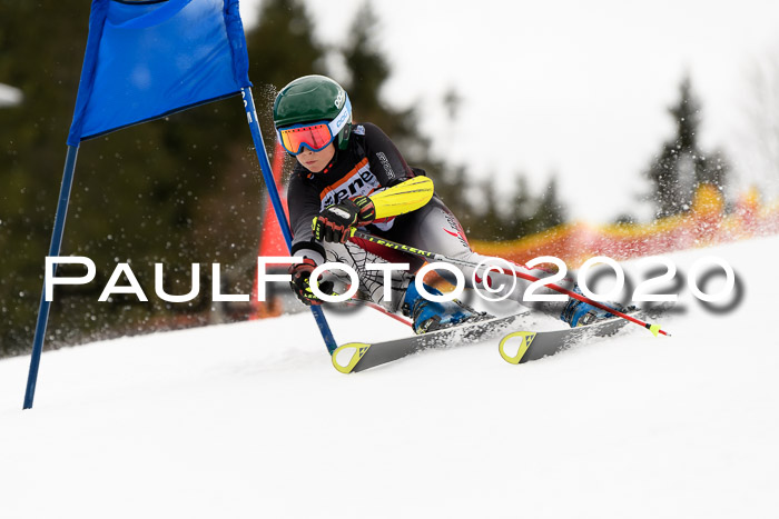7.  Zienercup + Werdenfelser Meisterschaft 23.02.2020