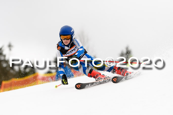 7.  Zienercup + Werdenfelser Meisterschaft 23.02.2020