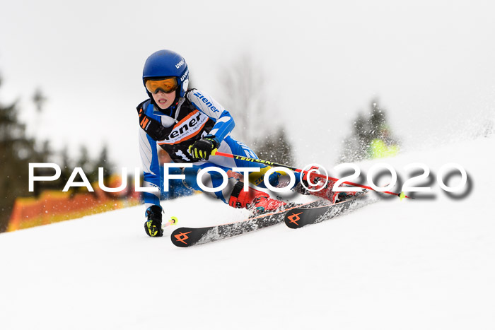 7.  Zienercup + Werdenfelser Meisterschaft 23.02.2020