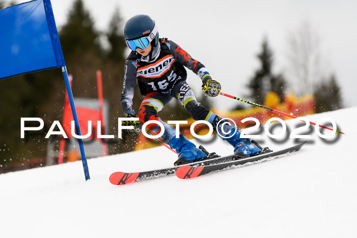 7.  Zienercup + Werdenfelser Meisterschaft 23.02.2020