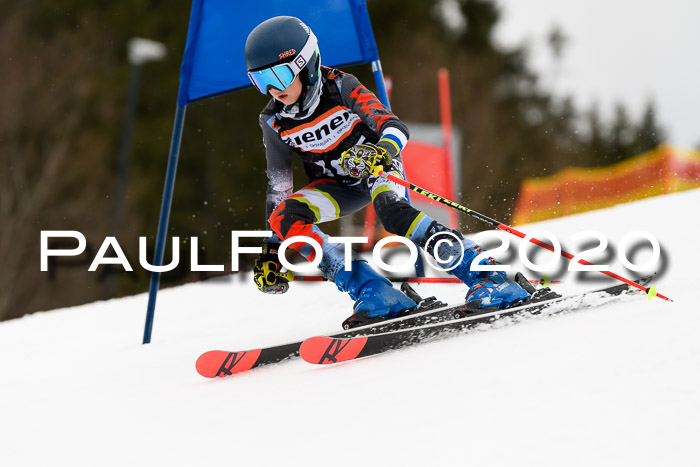 7.  Zienercup + Werdenfelser Meisterschaft 23.02.2020