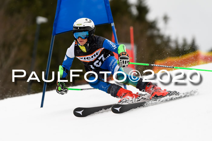7.  Zienercup + Werdenfelser Meisterschaft 23.02.2020