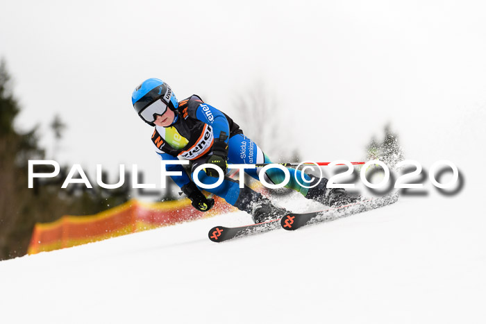 7.  Zienercup + Werdenfelser Meisterschaft 23.02.2020