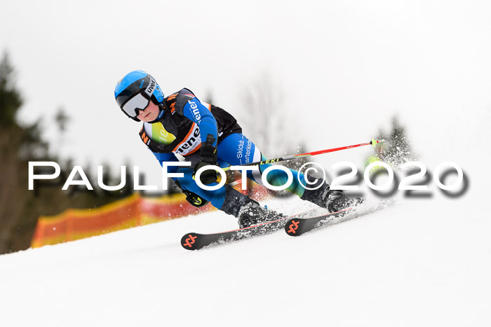 7.  Zienercup + Werdenfelser Meisterschaft 23.02.2020