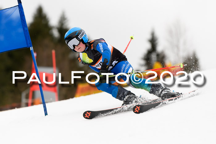 7.  Zienercup + Werdenfelser Meisterschaft 23.02.2020