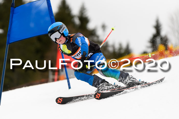 7.  Zienercup + Werdenfelser Meisterschaft 23.02.2020