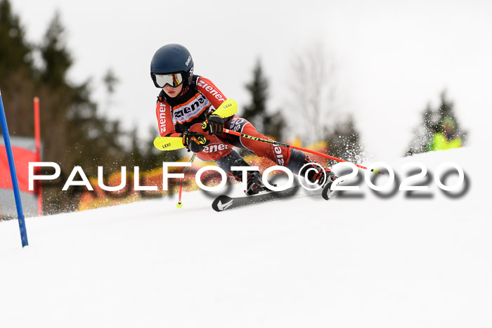 7.  Zienercup + Werdenfelser Meisterschaft 23.02.2020