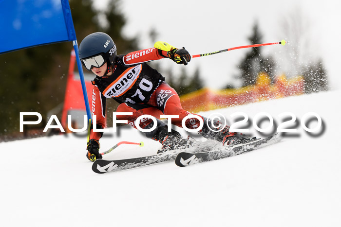 7.  Zienercup + Werdenfelser Meisterschaft 23.02.2020