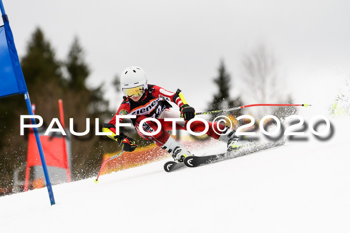 7.  Zienercup + Werdenfelser Meisterschaft 23.02.2020