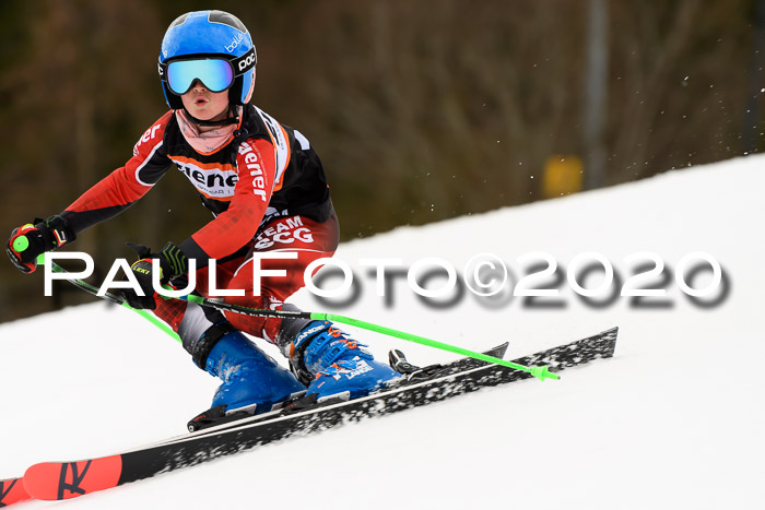 7.  Zienercup + Werdenfelser Meisterschaft 23.02.2020