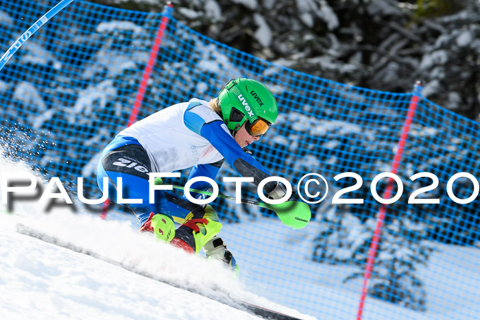 5. BZB CUP + Werdenfelser Meisterschaft SL 27.02.2020