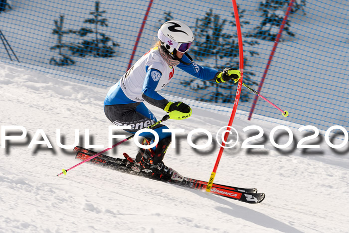 5. BZB CUP + Werdenfelser Meisterschaft SL 27.02.2020