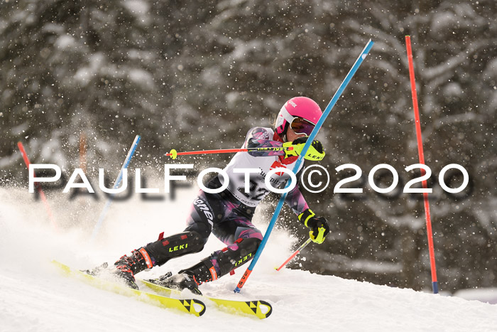 7. BZB CUP SL 28.02.2020