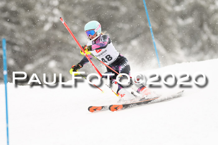 7. BZB CUP SL 28.02.2020